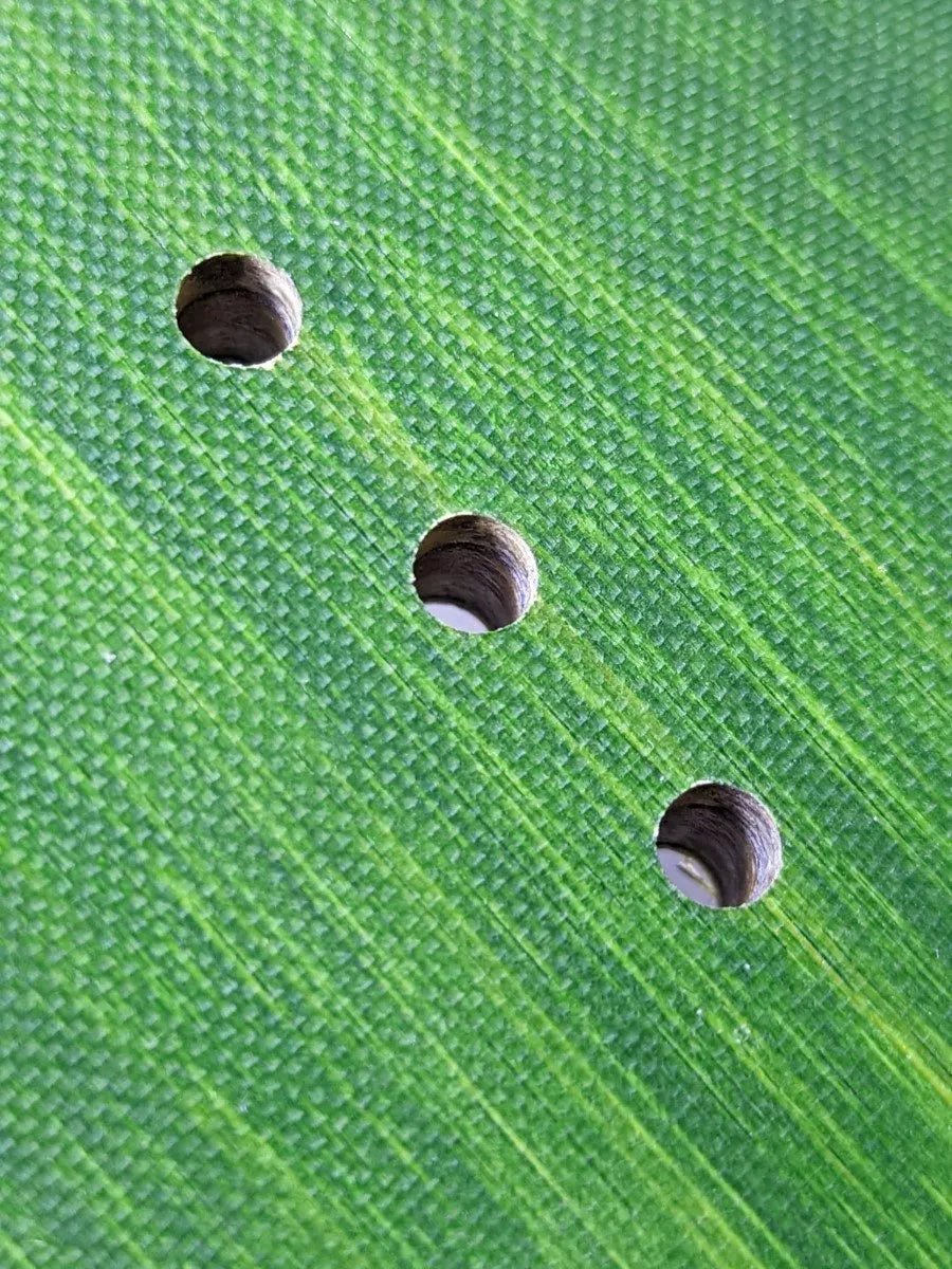 Timber Boards - Tortini 2K22_Flex___True Supplies