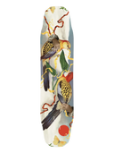 Alternative Chauma LT 37.8"