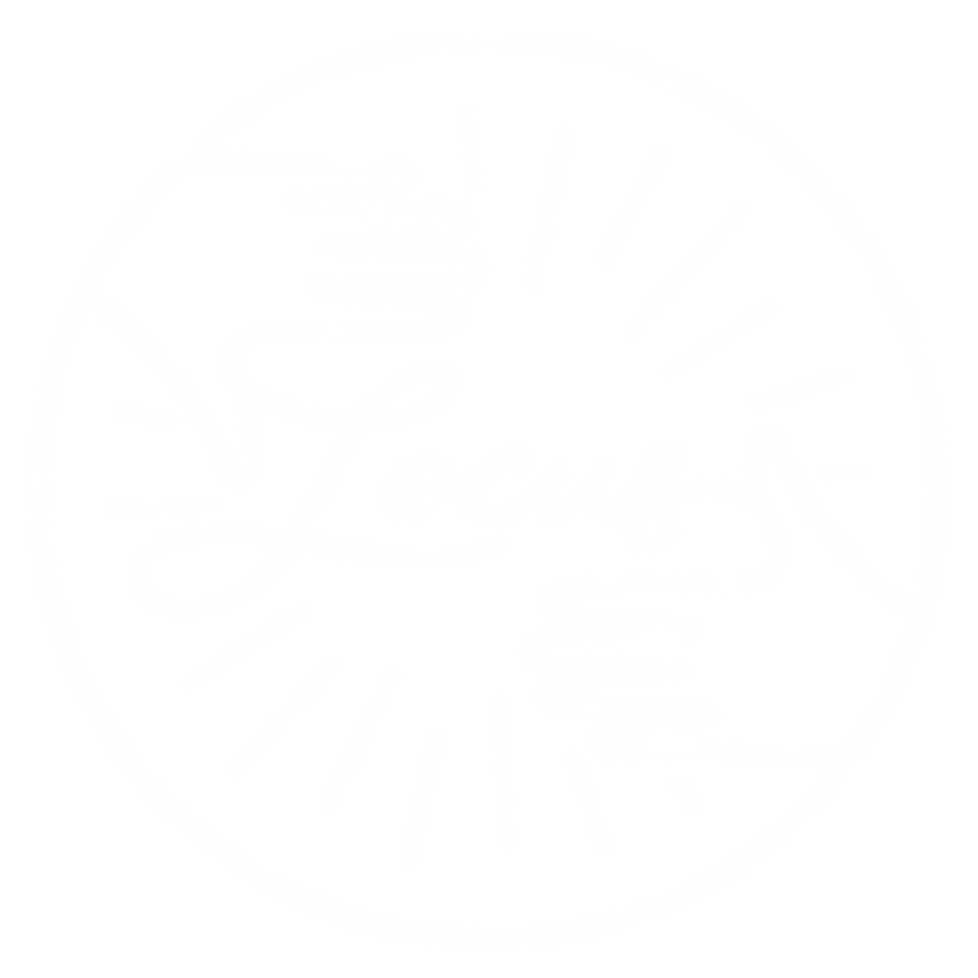 Locus Longboards & Surfskates