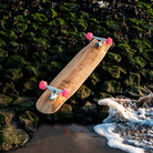 Bastl Boards - Walzer_Flex 1___True Supplies